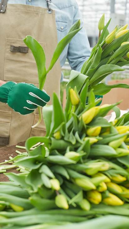 buitenlandse werknemer met tulpen