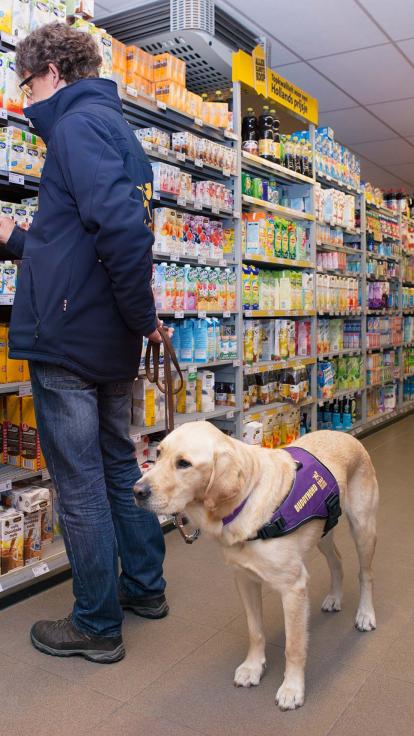 buddyhond in opleiding