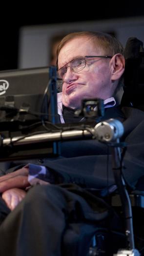 Stephen Hawking 
