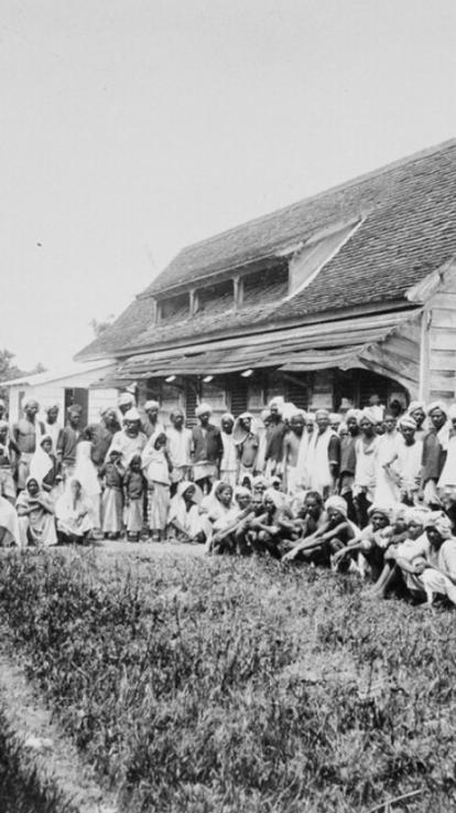 Grote groep Hindoestaanse contractarbeiders in Suriname