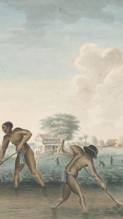 slavernij op plantage in suriname