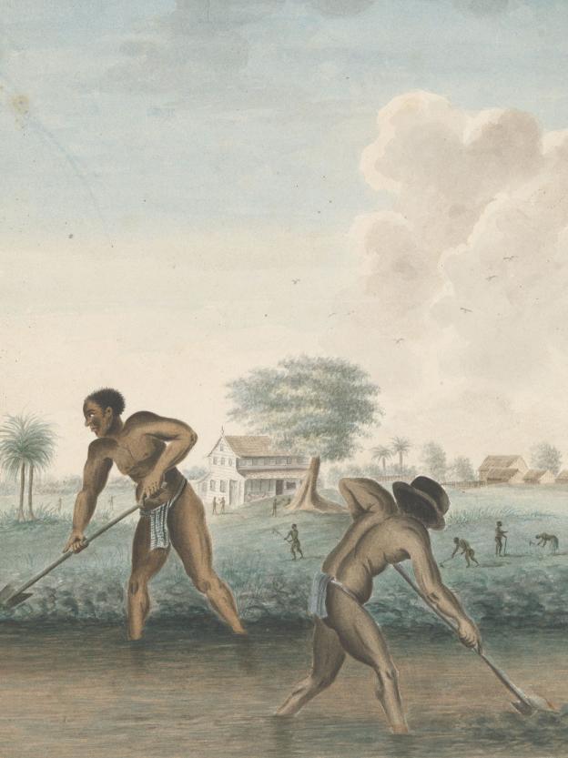 slavernij op plantage in suriname