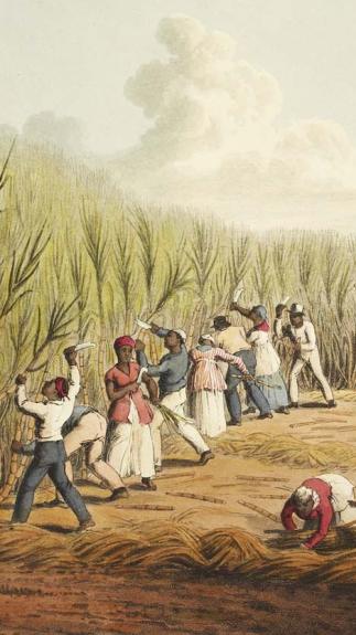 tot slaaf gemaakten op een suikerrietplantage