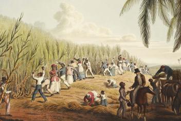 tot slaaf gemaakten op een suikerrietplantage