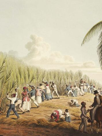 tot slaaf gemaakten op een suikerrietplantage