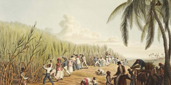 tot slaaf gemaakten op een suikerrietplantage