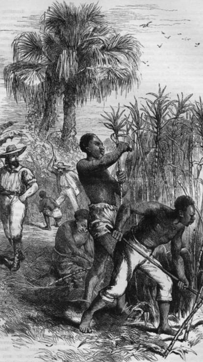 tot slaaf gemaakten op een plantage