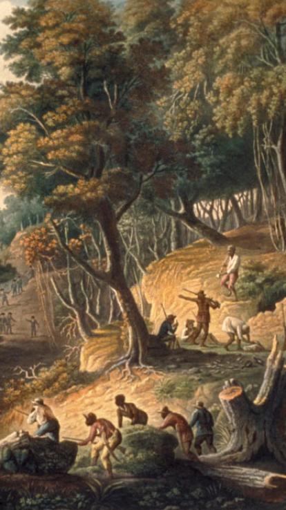 marrons vechten tegen de Britten in Jamaica