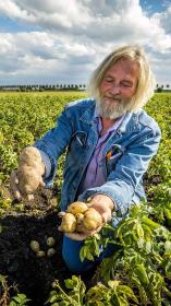 iemand houdt aardappelen vast op een akker