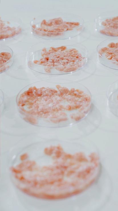 Vlees dat gemaakt is in een lab, kweekvlees heet dat ook wel. Ligt in petrischaaltjes. 