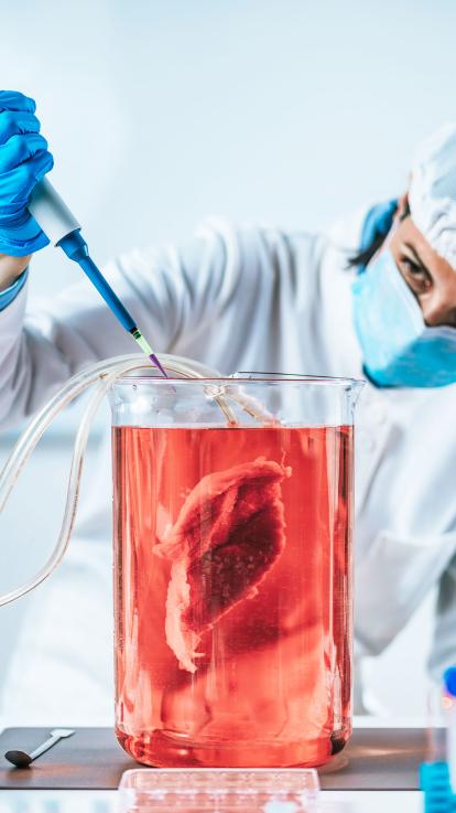 Een wetenschapper is een stukje vlees aan het kweken in een lab. 