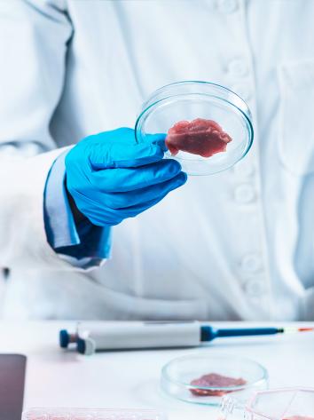 12_kweekvlees_keuring