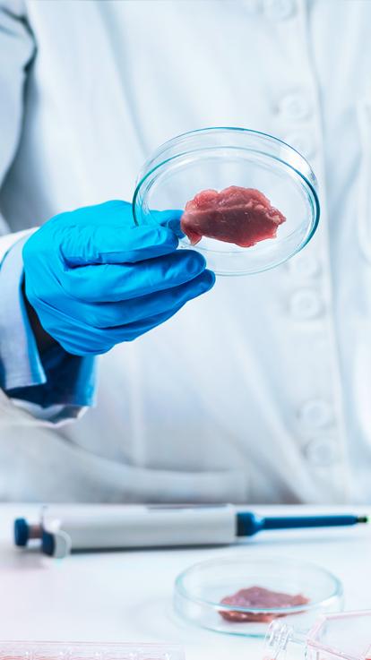 12_kweekvlees_keuring