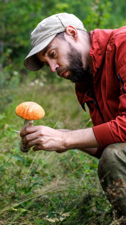 Paddenstoel_3_herfst