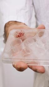 Petrischaaltje met kweekvlees erin!