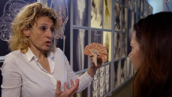 hoe ontstaat migraine