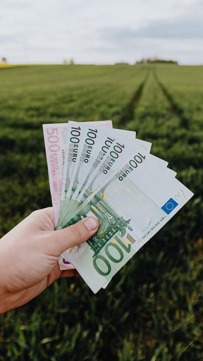 Een hand houdt meerdere biljetten van 100 euro vast in een veld