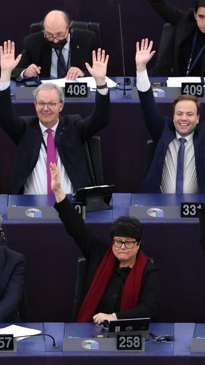 Europarlementariërs aan het stemmen