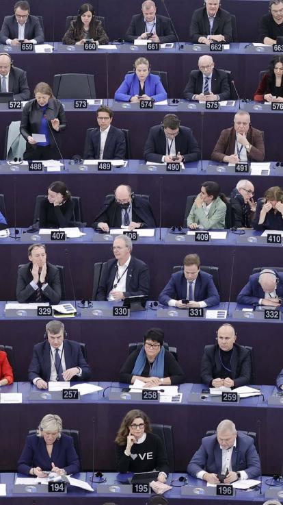 Europarlementariërs in het Europees Parlement