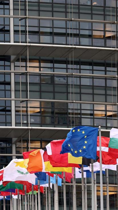 vlaggen van landen voor het Europees Parlement