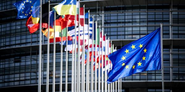 vlaggen van verschillende EU-landen en de EU