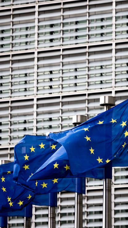 Een rij met vlaggen van de Europese Unie