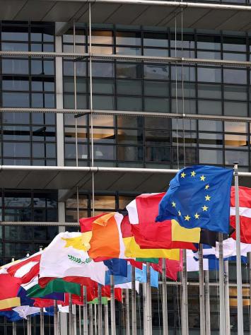 vlaggen van verschillende EU-landen en de EU