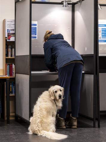 iemand stemt in een stemhokje