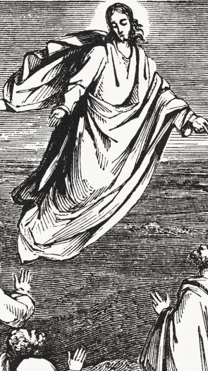 Een grafische afbeelding van Jezus die naar de hemel reist. Op de grond staan zijn discipelen.