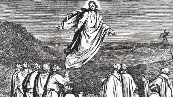 Een grafische afbeelding van Jezus die naar de hemel reist. Op de grond staan zijn discipelen.