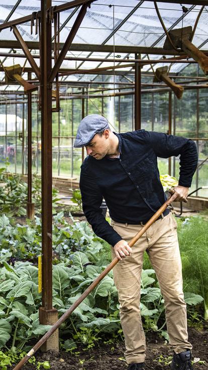 Een meneer in een kas is bezig met groentes verbouwen