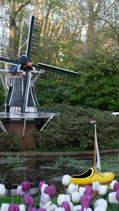 Nederlandse molens opening 1