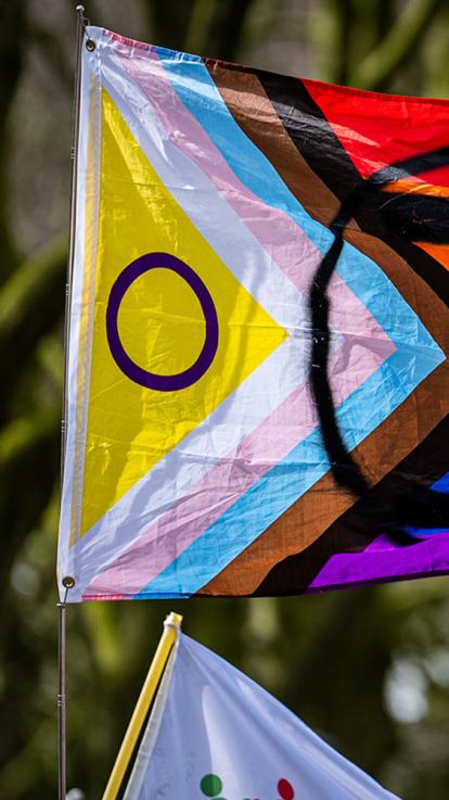 Progress Pride-vlag met Extinction Rebellion-symbool tijdens protest