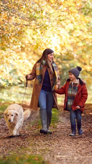 moeder, zoon en hond lopen door een bos in herfstkleuren