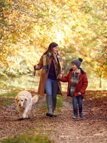 moeder, zoon en hond lopen door een bos in herfstkleuren