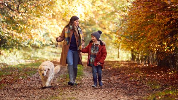moeder, zoon en hond lopen door een bos in herfstkleuren