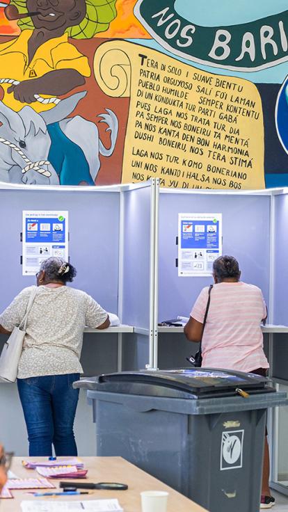 De ruggen van twee vrouwen in stemhokjes 