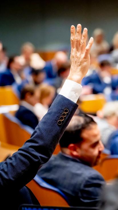stemming in de Tweede Kamer