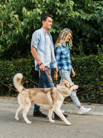 twee mensen wandelen met de hond