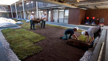 Werknemers plaatsen sedummatten op het dak van een pand