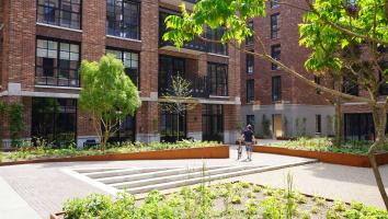 een woonwijk in Rotterdam met meer groen