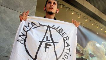 Man met rood geverfde kuif met een witte vlag van het Animal Liberation Front met een A in een cirkel erop geschilderd.