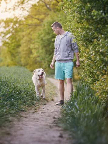iemand laat zijn hond uit bij een weide