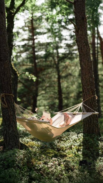 Iemand die ontspannen in een hangmat in het bos ligt