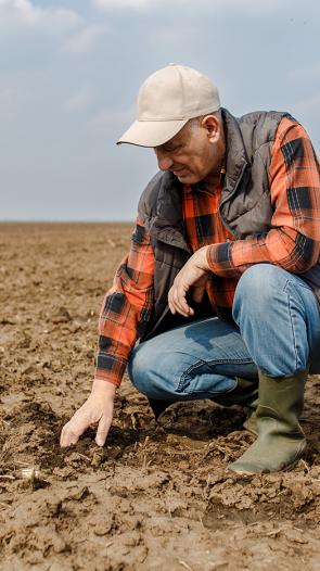Boer bekijkt droog geworden land