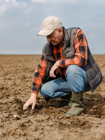 Boer bekijkt droog geworden land