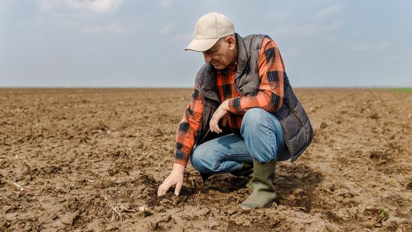 Boer bekijkt droog geworden land