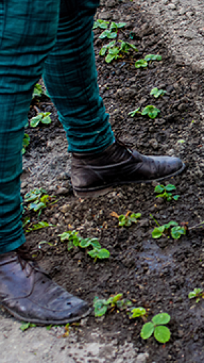 Persoon met voeten in de aarde