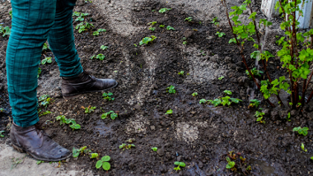 Persoon met voeten in de aarde