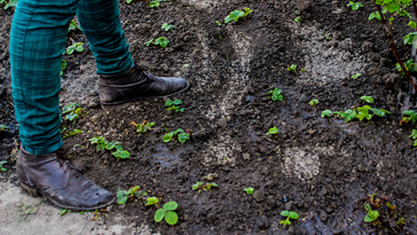 Persoon met voeten in de aarde